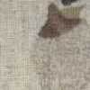 Gris Gris