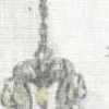 Blanco Roto
