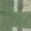 Caqui Oliva Caqui Oliva