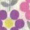 Marfil × Morado