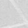 Gris Beige