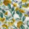 Blanco Roto × Amarillo Blanco Roto × Amarillo