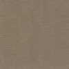 Beige Arena