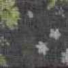 Gris Gris