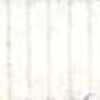 Blanco roto