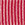 Rosa Coral Rosa Coral