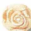 Beige Claro
