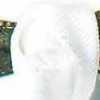 Blanco × Verde Musgo