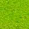 Verde Amarillento