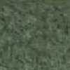 Verde Musgo