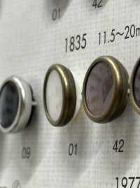 1835 Botones Elegantes Y Lujosos Para Camisas Y Chaquetas Simples[Botón] DAIYA BUTTON(DAIYA BUTTON) Subfoto