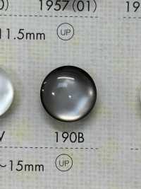 190B Botones De Resina De Poliéster[Botón] DAIYA BUTTON(DAIYA BUTTON) Subfoto