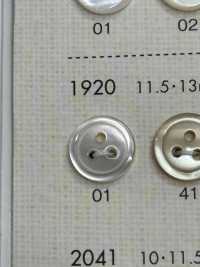1920 BOTONES DAIYA 3 Botón Shell Poliéster DAIYA BUTTON(DAIYA BUTTON) Subfoto