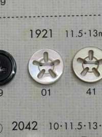 1921 BOTONES DAIYA 5 Botón Shell Poliéster DAIYA BUTTON(DAIYA BUTTON) Subfoto
