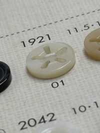 1921 BOTONES DAIYA 5 Botón Shell Poliéster DAIYA BUTTON(DAIYA BUTTON) Subfoto