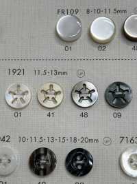 1921 BOTONES DAIYA 5 Botón Shell Poliéster DAIYA BUTTON(DAIYA BUTTON) Subfoto
