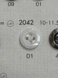 2042 BOTONES DAIYA Botón De Poliéster Tipo Concha DAIYA BUTTON(DAIYA BUTTON) Subfoto