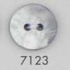 7123 Botón de dos agujeros de resina de poliéster