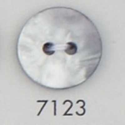 7123 Botón de dos agujeros de resina de poliéster