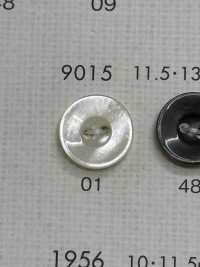 9015 BOTONES DAIYA Botón De Poliéster Tipo Concha DAIYA BUTTON(DAIYA BUTTON) Subfoto