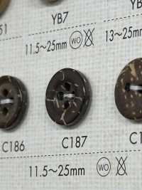 C187 Botón De Madera Natural De 4 Agujeros DAIYA BUTTON(DAIYA BUTTON) Subfoto