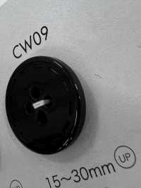 CW09 Botón De Resina De Poliéster De 4 Agujeros DAIYA BUTTON(DAIYA BUTTON) Subfoto