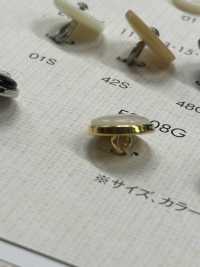 ES108G Botones Elegantes De Poliéster Con Forma De Concha Para Camisas Y Blusas[Botón] DAIYA BUTTON(DAIYA BUTTON) Subfoto