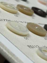 ES177M BOTONES DAIYA Botones De Poliéster Con Concha Mate[Botón] DAIYA BUTTON(DAIYA BUTTON) Subfoto