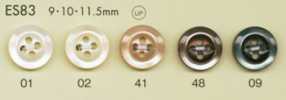 ES83 DAIYA BUTTONS Botón de poliéster estilo concha