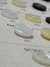 FM304 BOTONES DAIYA Botones De Poliéster Con Concha[Botón] DAIYA BUTTON(DAIYA BUTTON) Subfoto