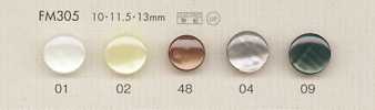 FM305 BOTONES DAIYA Botones De Poliéster Con Concha