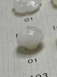 FP210 BOTONES DAIYA Botones De Poliéster De Concha (Hemisféricos)[Botón] DAIYA BUTTON(DAIYA BUTTON) Subfoto