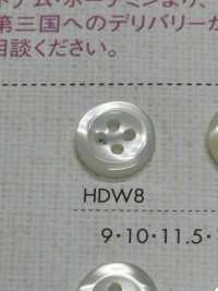 HDW8 BOTONES DAIYA Resistente A Impactos HIPER DURABLE Serie "" Botón De Poliéster Con Forma De Concha "" DAIYA BUTTON Foto secundaria