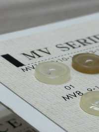 MV17 BOTONES DAIYA Botones De Poliéster Con Concha[Botón] DAIYA BUTTON(DAIYA BUTTON) Subfoto