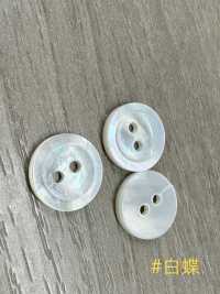 PH171 Botón De Concha Con Borde Plano De 2 Orificios Sakamoto Saji Shoten Subfoto