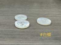 PH171 Botón De Concha Con Borde Plano De 2 Orificios Sakamoto Saji Shoten Subfoto