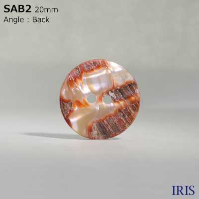 SAB2 Botón Brillante De 2 Agujeros De Carcasa De Material Natural IRIS Foto secundaria