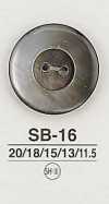 SB16 Botón de concha