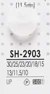 SH2903 Botones de poliéster teñibles