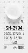 SH2904 Botones De Poliéster Teñibles