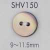 SHV150 Botón de nácar de 2 agujeros