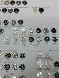 SLR8 BOTONES DAIYA Botones De Poliéster Con Concha[Botón] DAIYA BUTTON(DAIYA BUTTON) Subfoto