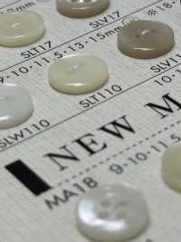 SLT110 BOTONES DAIYA Botones De Poliéster Con Concha[Botón] DAIYA BUTTON(DAIYA BUTTON) Subfoto