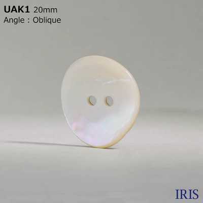 UAK1 Material Natural Concha Teñida Agujero Delantero 2 Agujeros Botón Brillante IRIS Foto secundaria