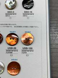 USB100 Material Teñido Natural, Concha De Nácar, 2 Agujeros En La Parte Delantera, Botones Brillantes[Botón] IRIS Foto secundaria