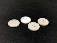 UST26 Material Natural Teñido Takase Shell 2 Agujeros Delanteros Botón Brillante IRIS Foto secundaria