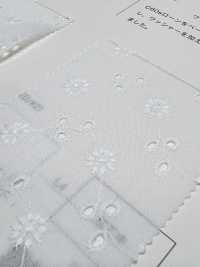 6570 Encaje De Césped[Fabrica Textil] VANCET Subfoto