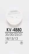 KV4880 Botones para teñir camisas