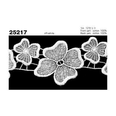 25217 Encaje químico estrecho