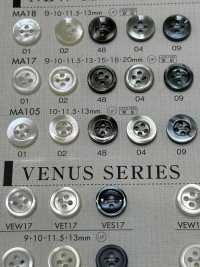 MA105 BOTONES DAIYA Botones De Poliéster Con Concha[Botón] DAIYA BUTTON(DAIYA BUTTON) Subfoto